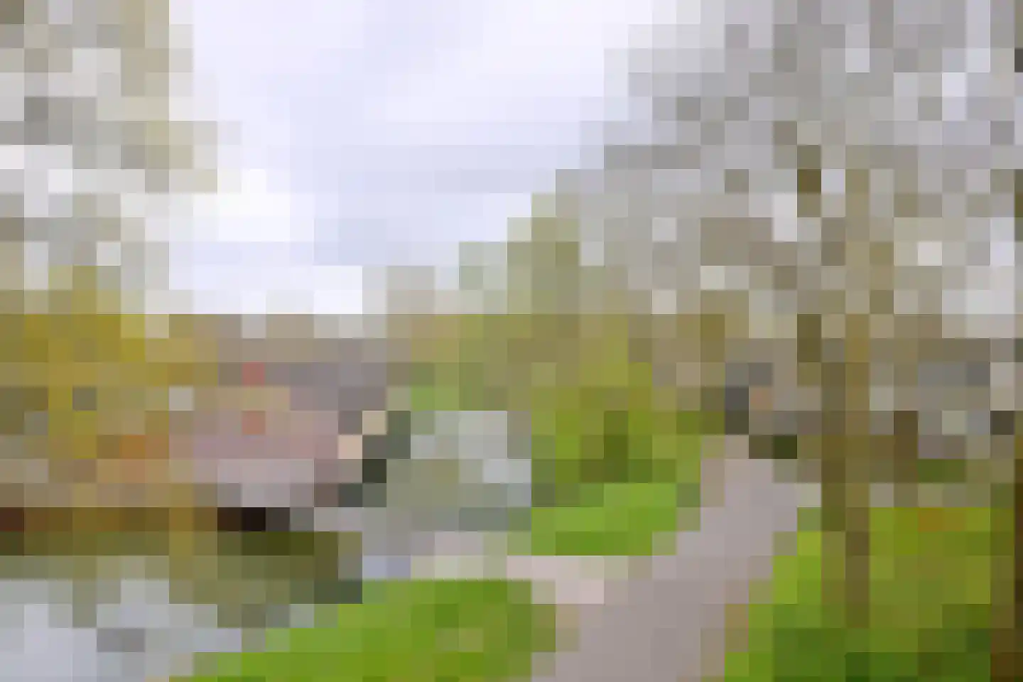 Toutenburg 702 Deventer thumbnail 39