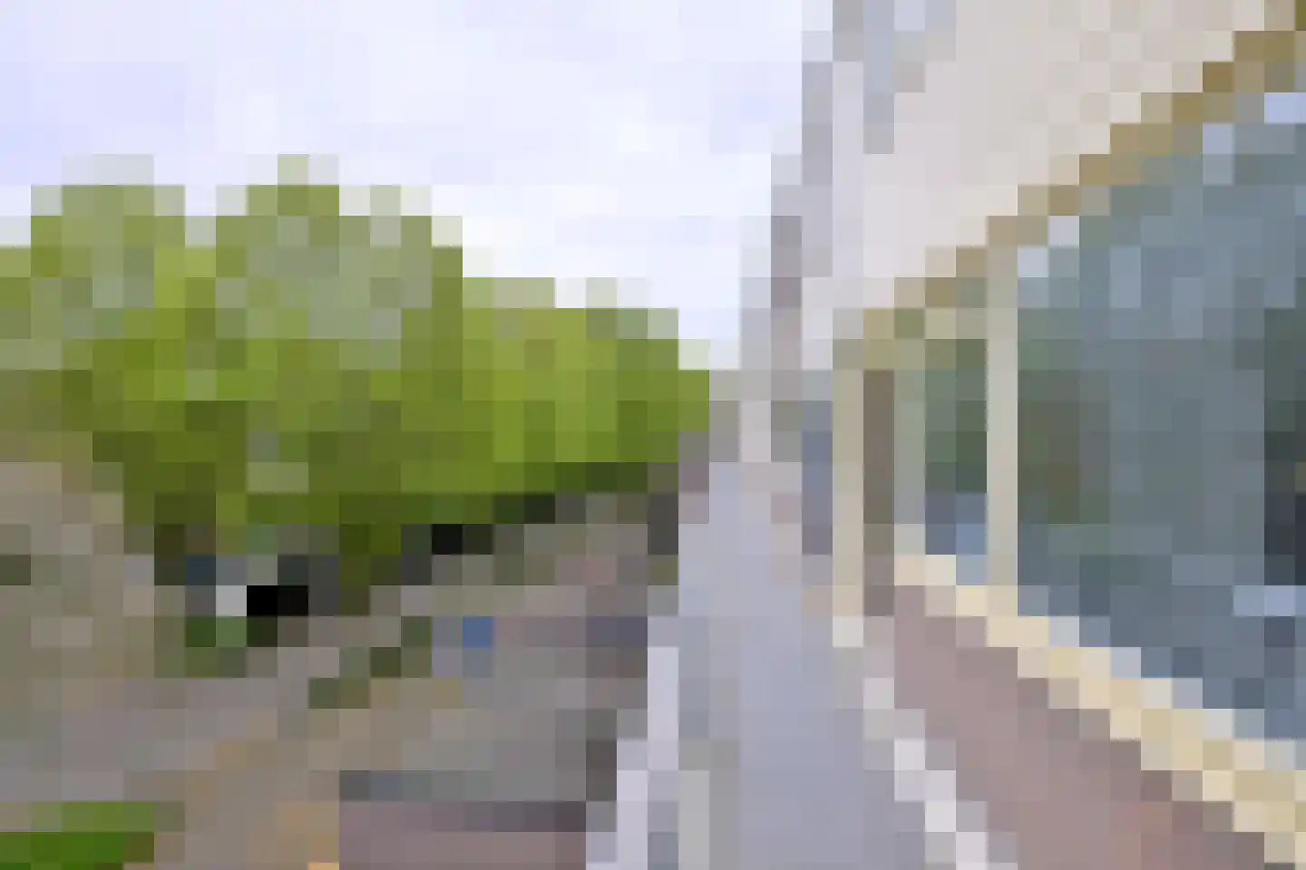 Toutenburg 702 Deventer thumbnail 46
