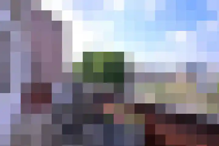 Toutenburg 740 Deventer thumbnail 13