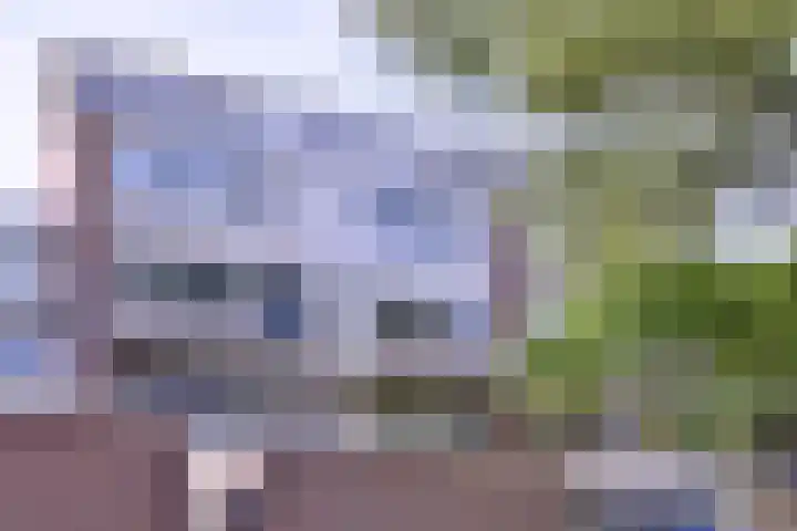 Toutenburg 746 in Deventer