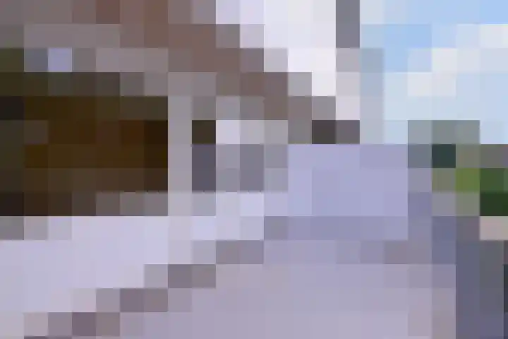 Toutenburg 746 Deventer thumbnail 11