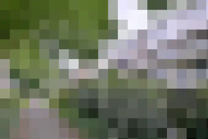 Toutenburg 746 Deventer thumbnail 31
