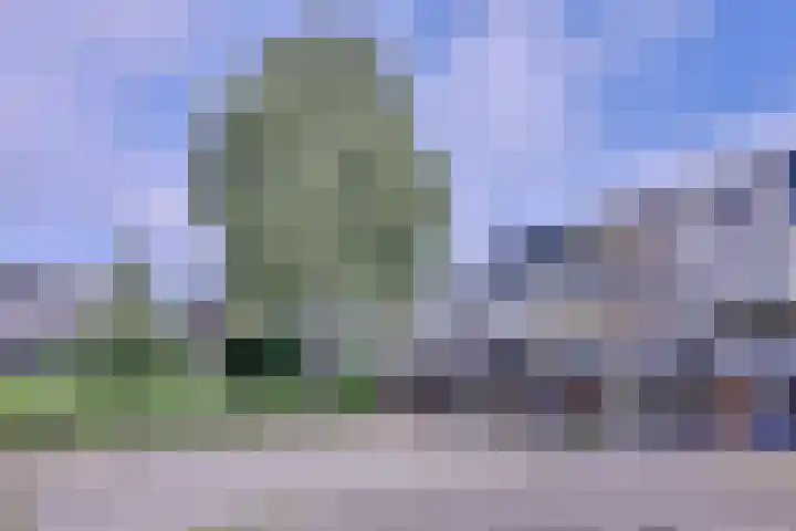 Toutenburg 746 Deventer thumbnail 33