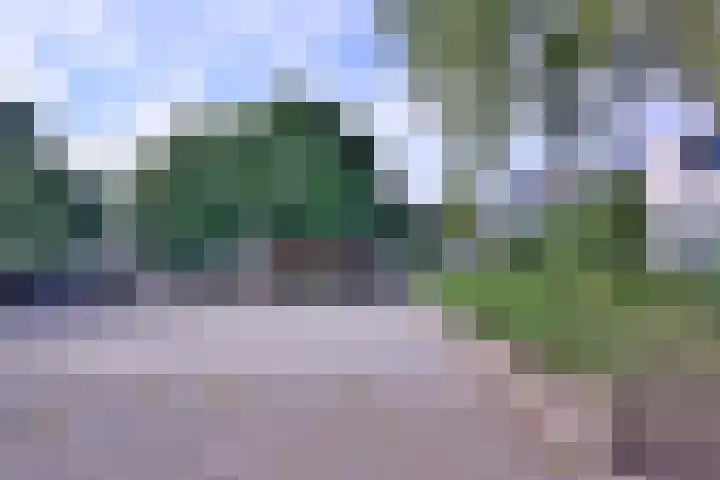Toutenburg 746 Deventer thumbnail 35