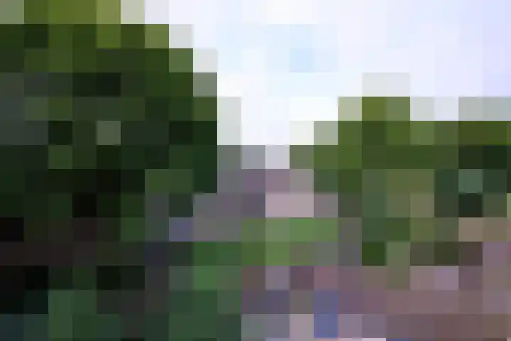Toutenburg 746 Deventer thumbnail 9