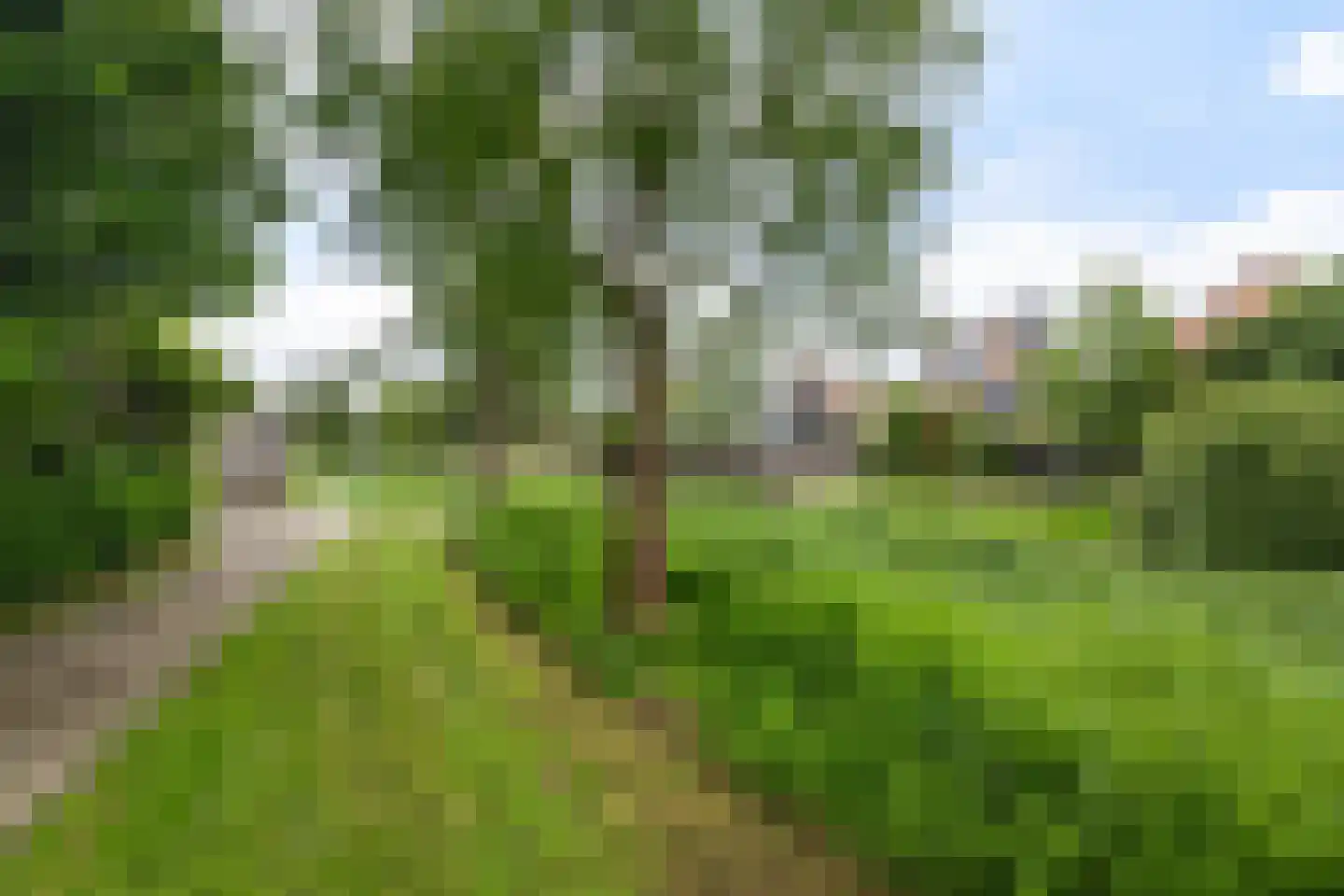 Toutenburg 95 Dordrecht thumbnail 24