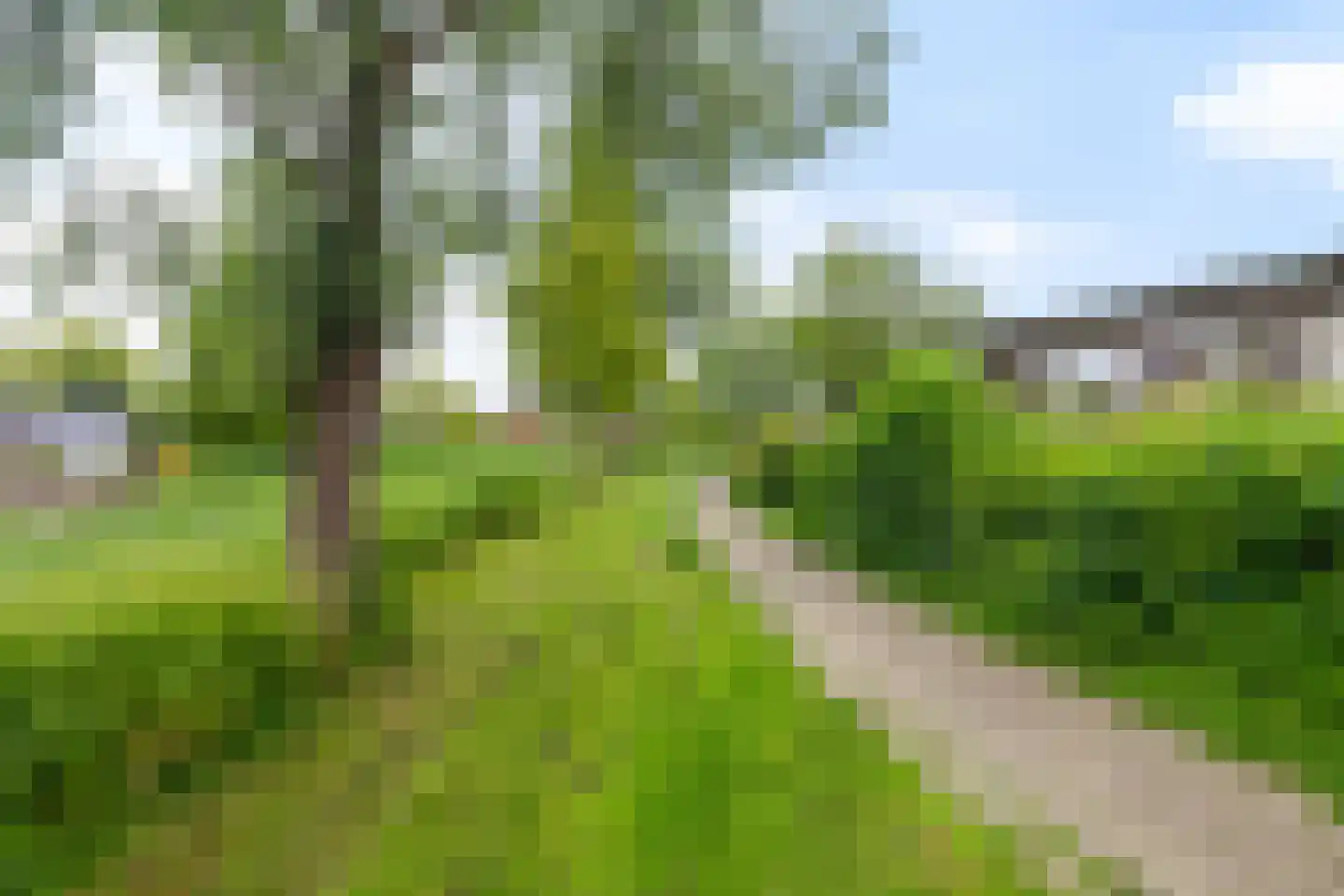 Toutenburg 95 Dordrecht thumbnail 25