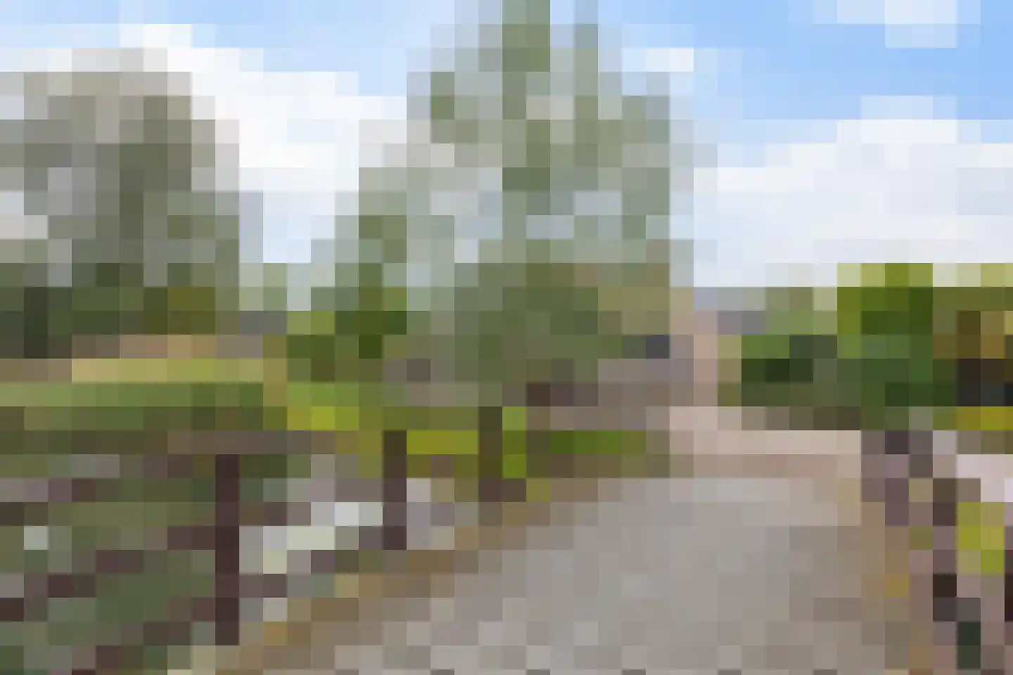 Toutenburg 95 Dordrecht thumbnail 5
