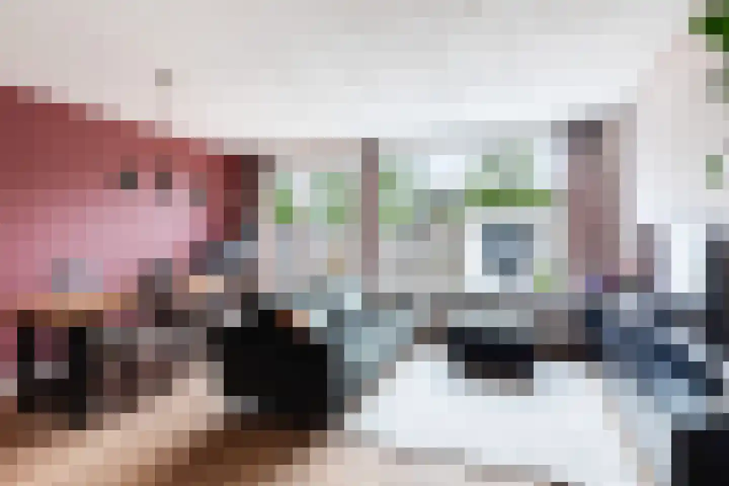 Toutenburg 95 Dordrecht thumbnail 8