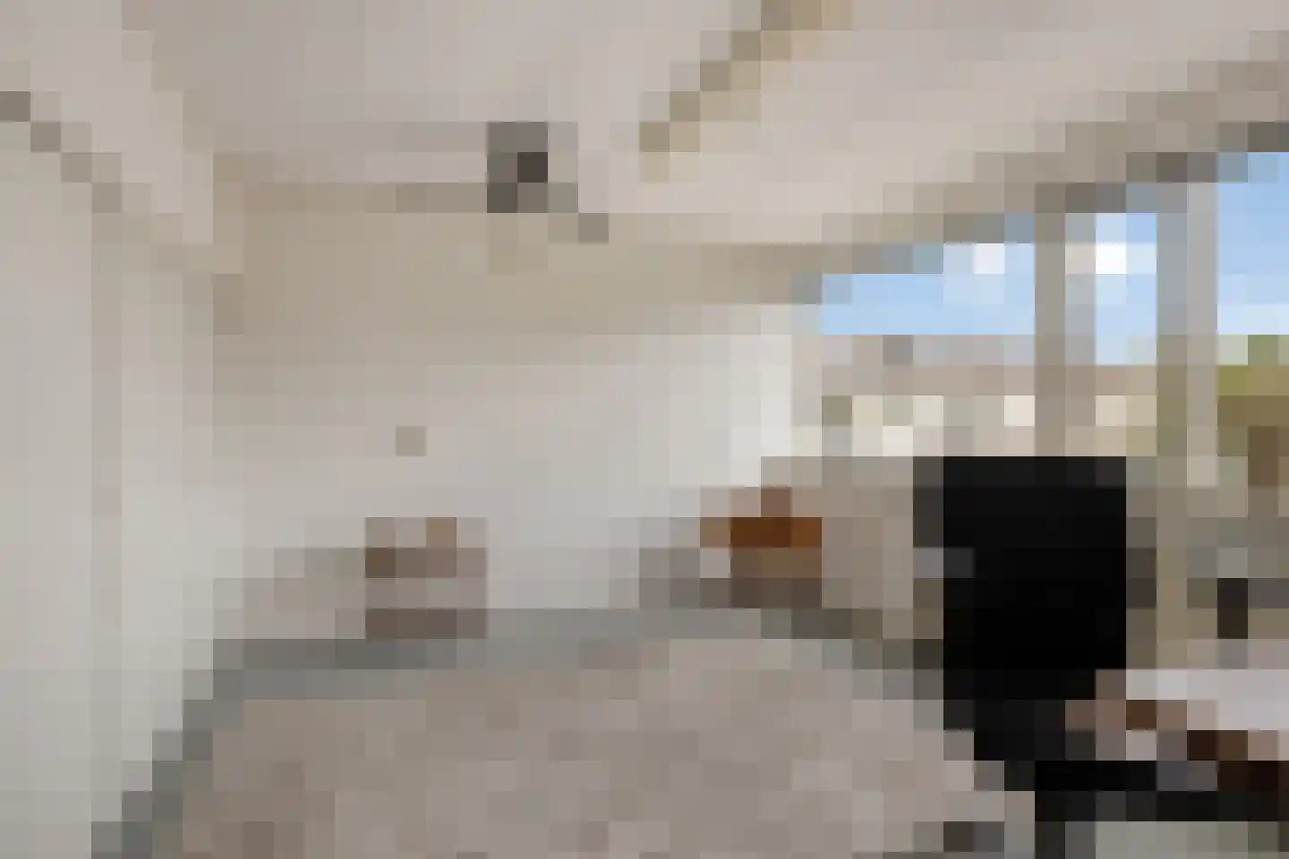 Toutenburgleane 34 Tytsjerk thumbnail 27