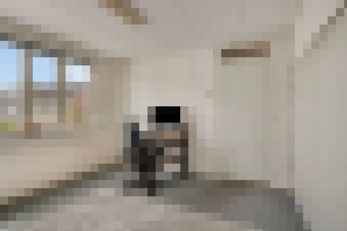 Toutenburgleane 34 Tytsjerk thumbnail 28