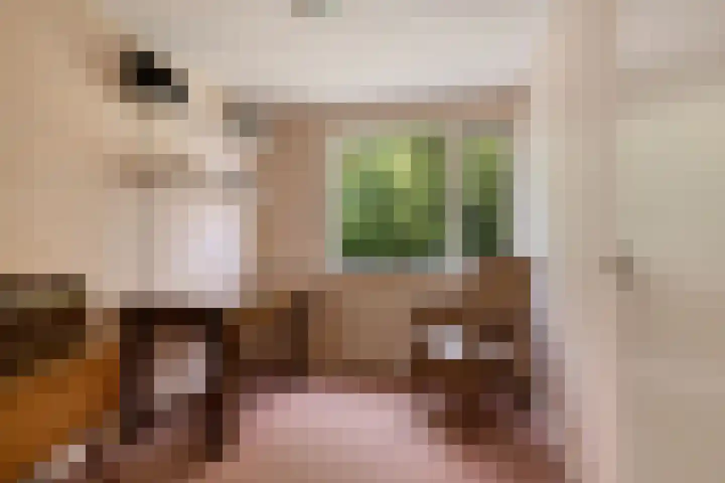 Toutenburgleane 34 Tytsjerk thumbnail 29