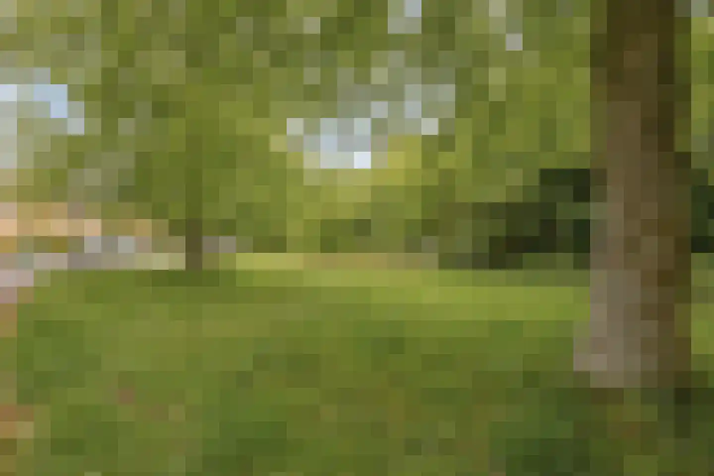 Toutenburgleane 34 Tytsjerk thumbnail 36
