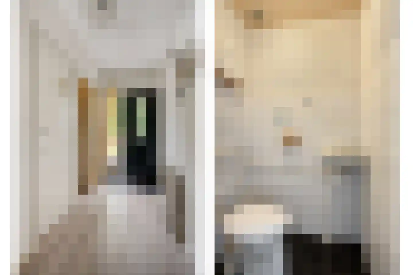 Toutenburgleane 34 Tytsjerk thumbnail 4