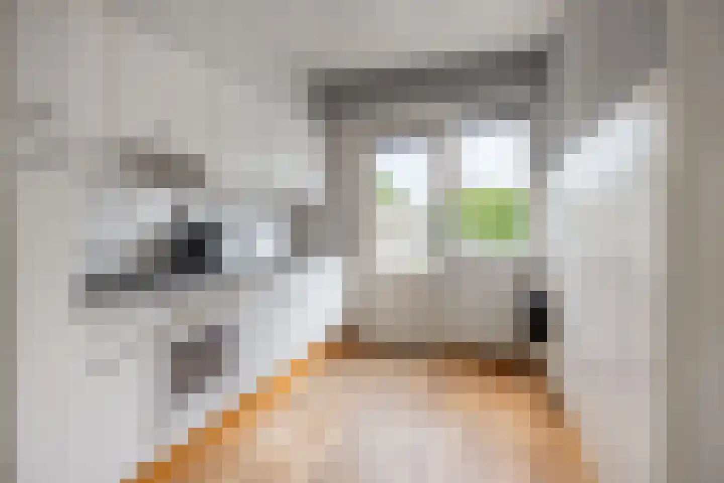 Toutenburgleane 38 Tytsjerk thumbnail 13