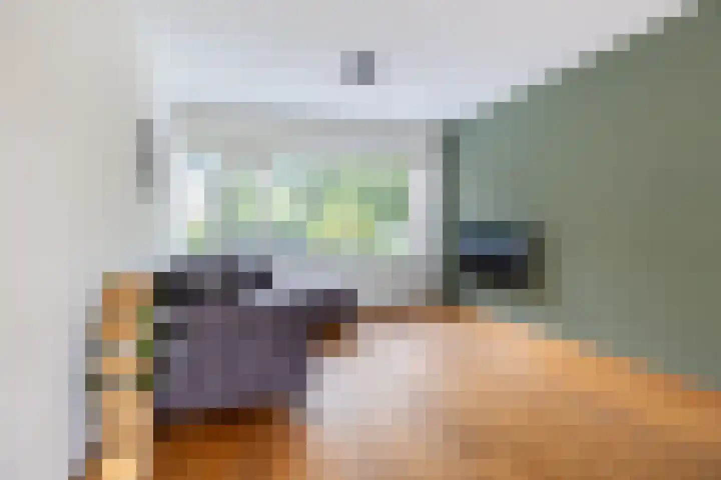 Toutenburgleane 38 Tytsjerk thumbnail 17