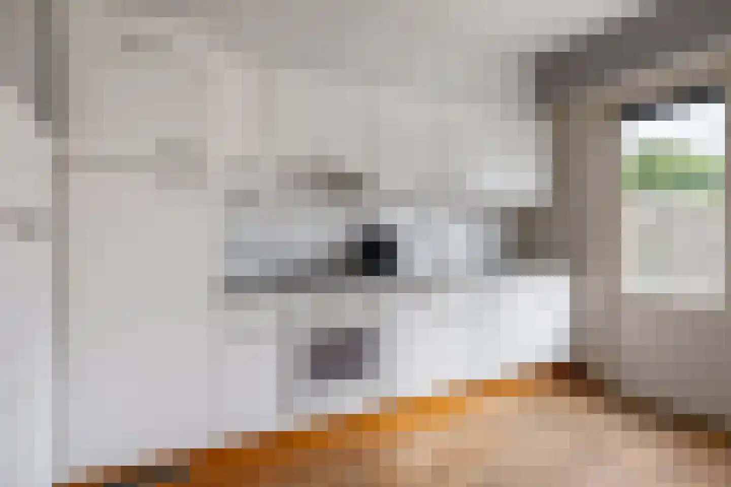 Toutenburgleane 38 Tytsjerk thumbnail 4