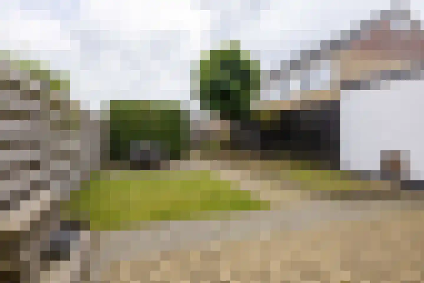Toutenburgleane 38 Tytsjerk thumbnail 40