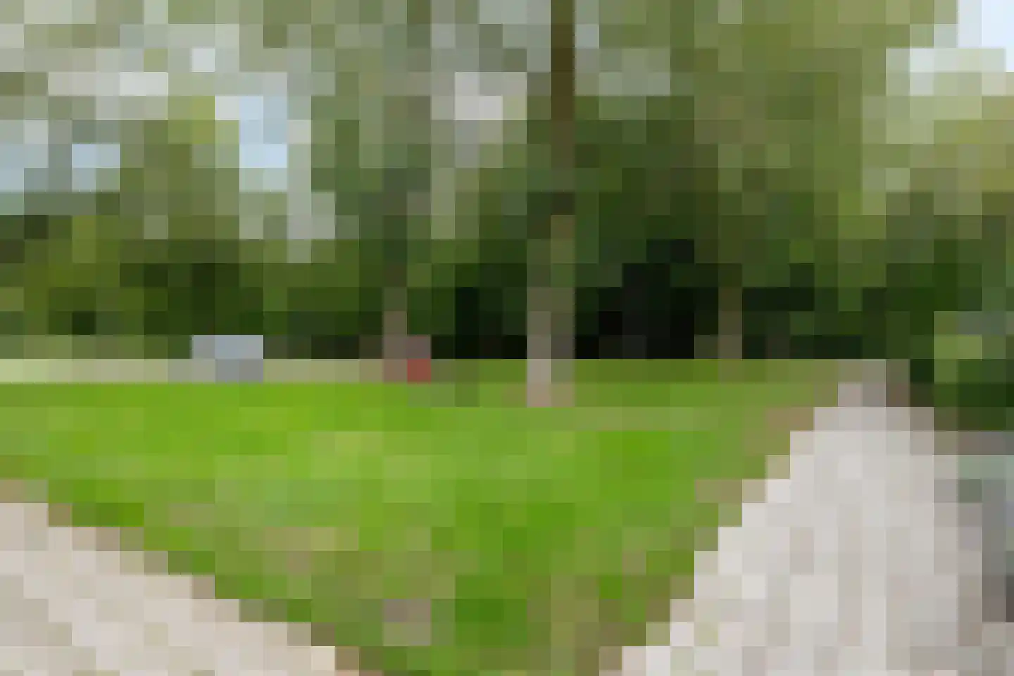 Toutenburgleane 38 Tytsjerk thumbnail 7