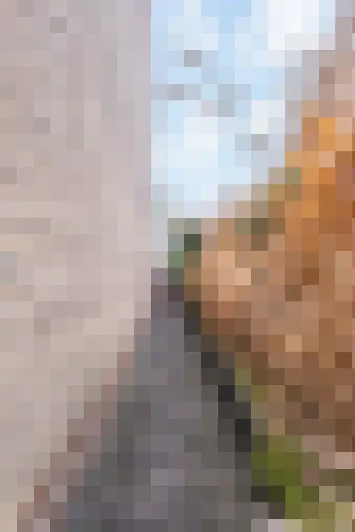 Toutenburgleane 84 Tytsjerk thumbnail 10