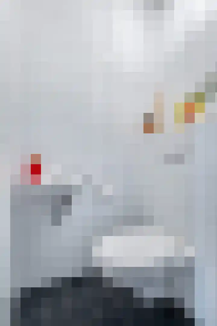 Toutenburgleane 84 Tytsjerk thumbnail 13