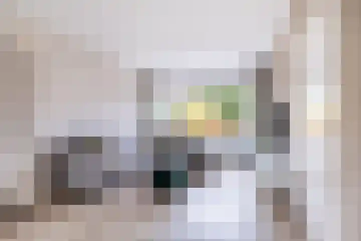 Toutenburgleane 84 Tytsjerk thumbnail 14