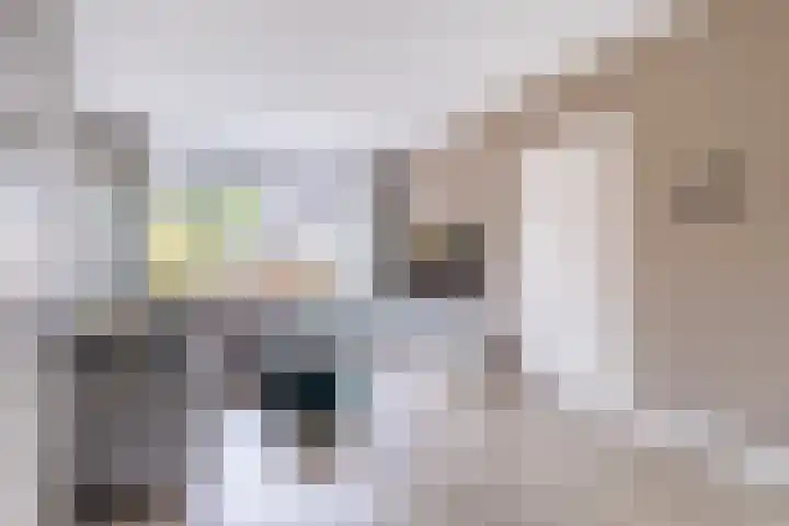 Toutenburgleane 84 Tytsjerk thumbnail 15