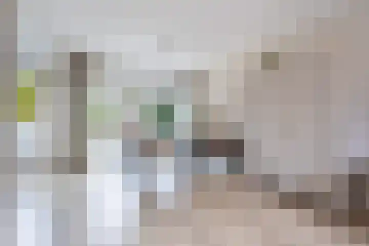 Toutenburgleane 84 Tytsjerk thumbnail 17