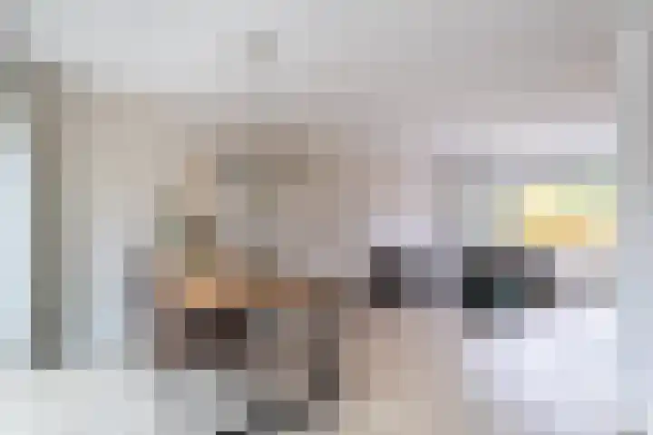 Toutenburgleane 84 Tytsjerk thumbnail 18