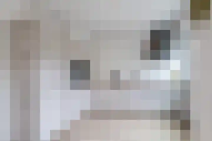 Toutenburgleane 84 Tytsjerk thumbnail 20