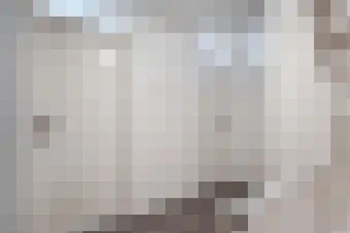 Toutenburgleane 84 Tytsjerk thumbnail 24