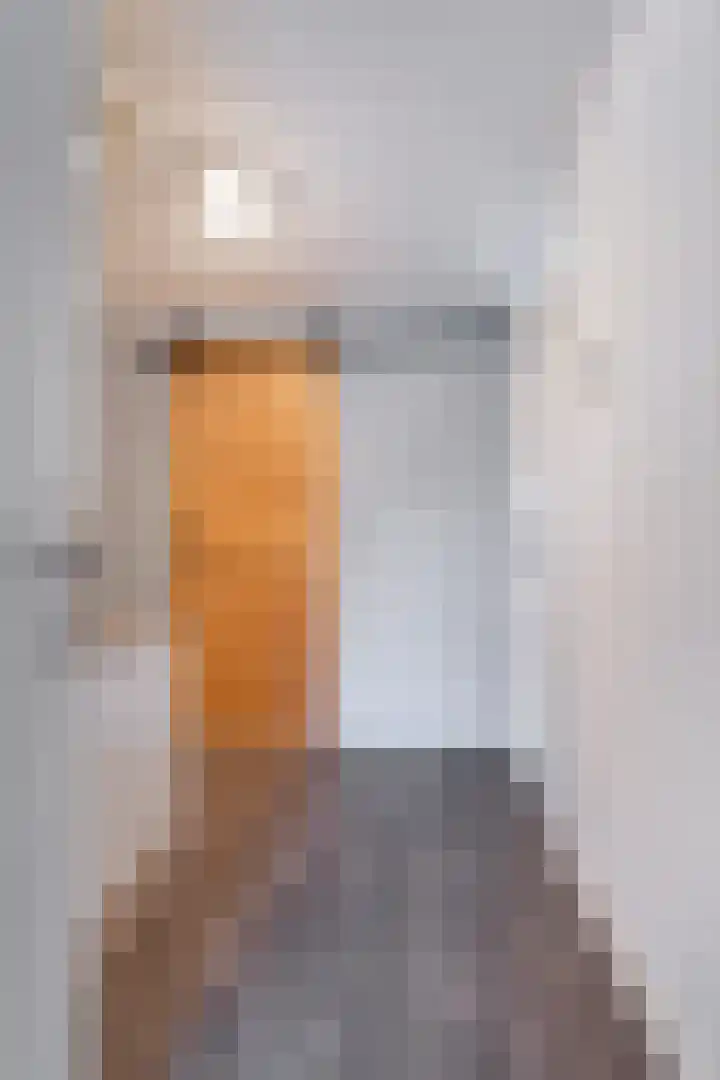 Toutenburgleane 84 Tytsjerk thumbnail 25