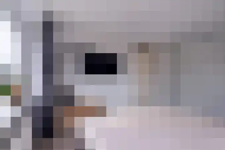 Toutenburgleane 84 Tytsjerk thumbnail 28