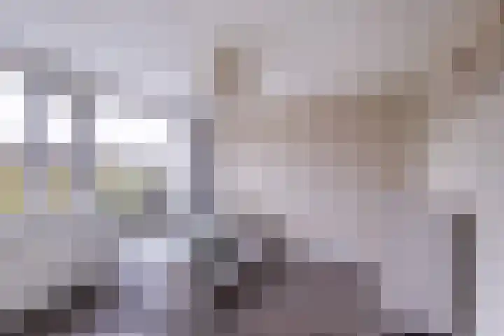 Toutenburgleane 84 Tytsjerk thumbnail 29