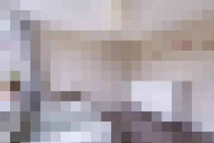 Toutenburgleane 84 Tytsjerk thumbnail 30