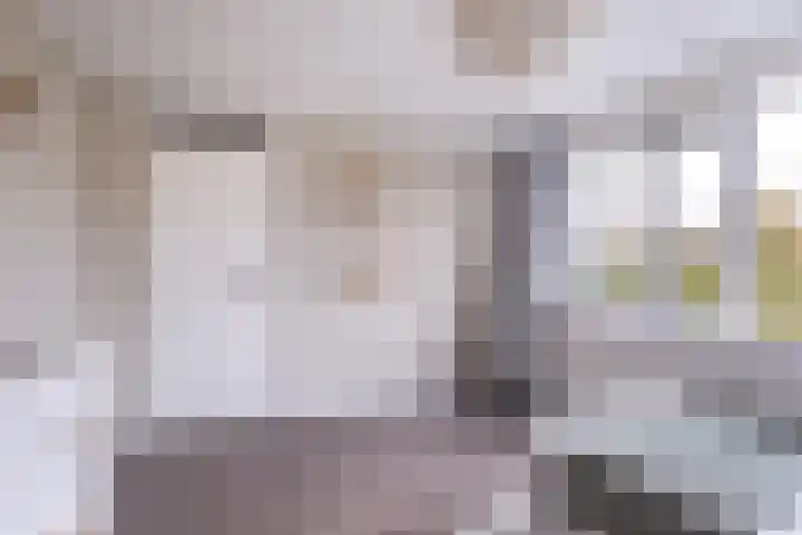 Toutenburgleane 84 Tytsjerk thumbnail 31