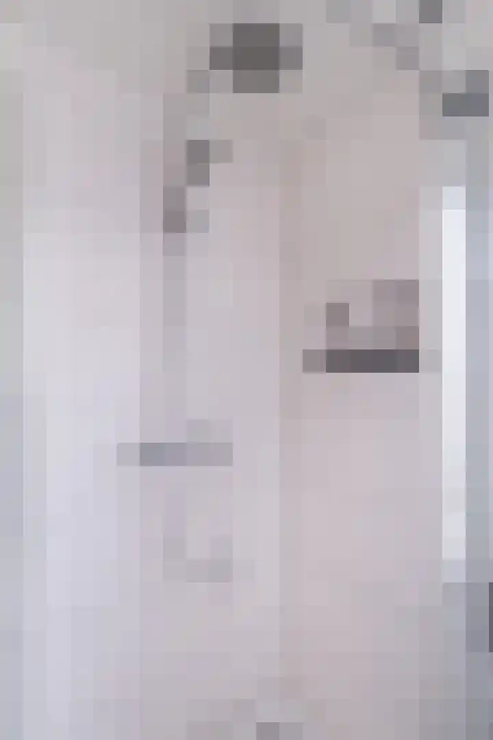 Toutenburgleane 84 Tytsjerk thumbnail 36