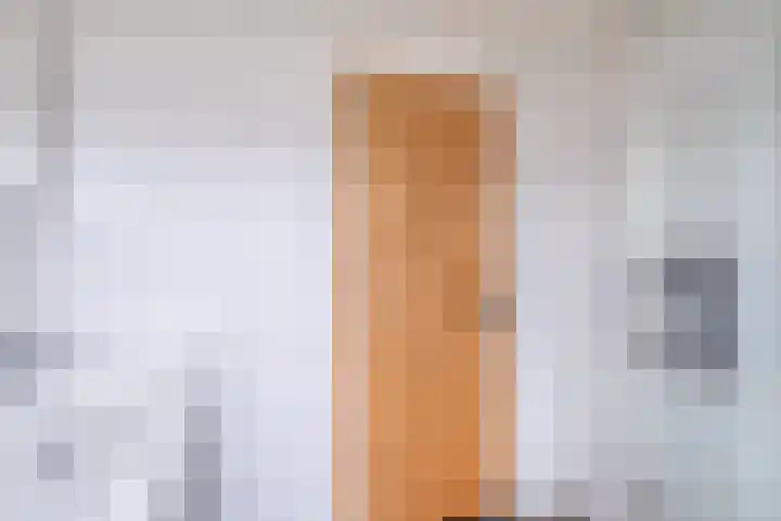 Toutenburgleane 84 Tytsjerk thumbnail 37