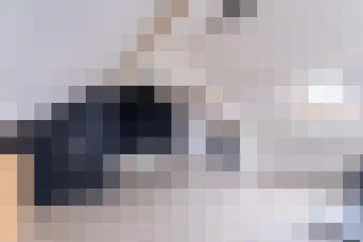 Toutenburgleane 84 Tytsjerk thumbnail 39