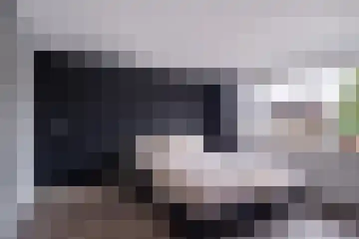 Toutenburgleane 84 Tytsjerk thumbnail 4