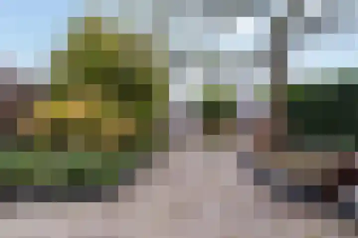 Toutenburgleane 84 Tytsjerk thumbnail 40