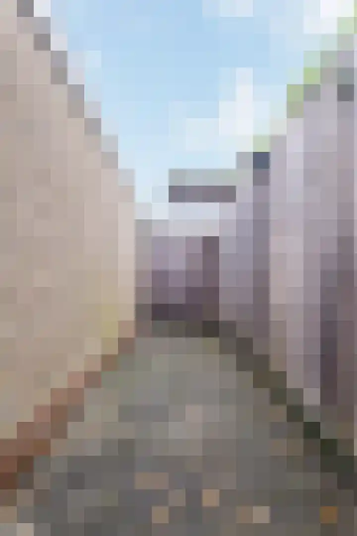 Toutenburgleane 84 Tytsjerk thumbnail 47
