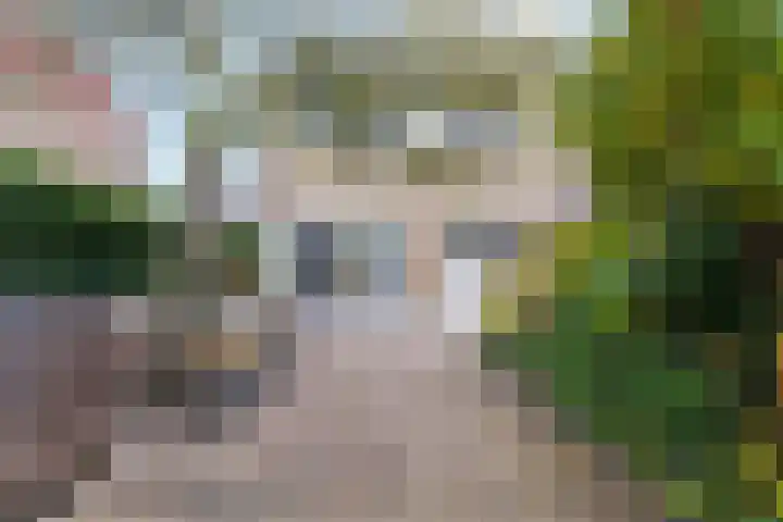Toutenburgleane 84 Tytsjerk thumbnail 5