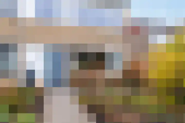 Toutenburgleane 84 Tytsjerk thumbnail 7