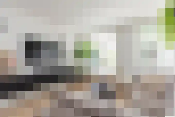 Toutenburgplantsoen 29 Rotterdam thumbnail 10