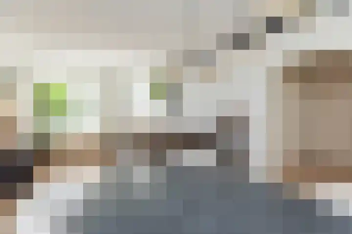 Toutenburgplantsoen 29 Rotterdam thumbnail 12