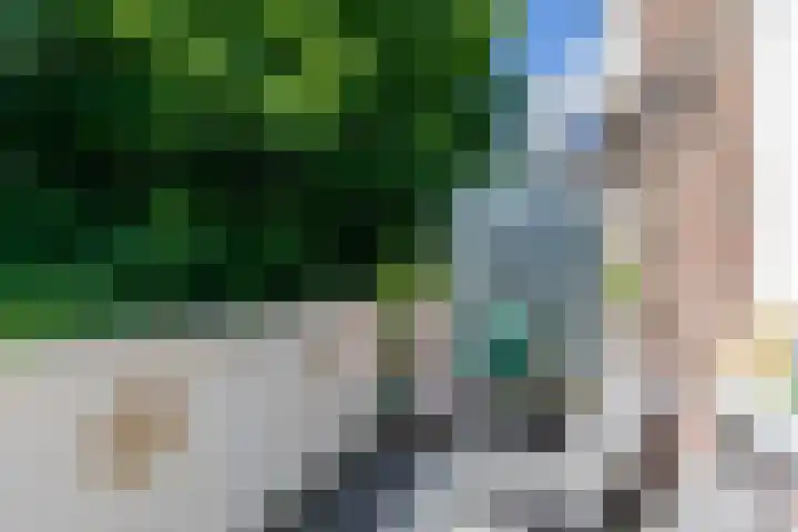 Toutenburgplantsoen 29 Rotterdam thumbnail 21