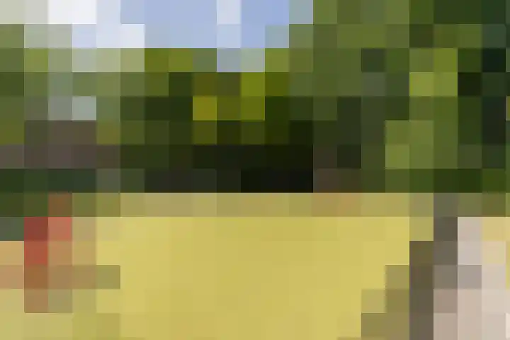 Toutenburgplantsoen 29 Rotterdam thumbnail 22