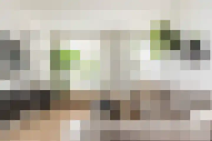 Toutenburgplantsoen 29 Rotterdam thumbnail 7