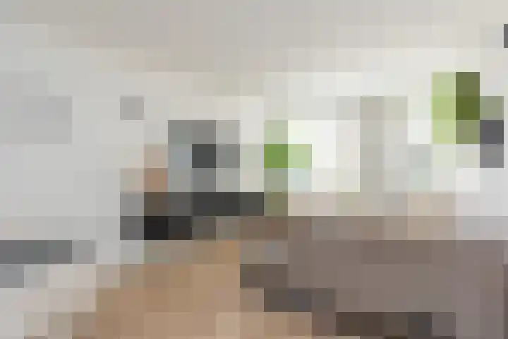 Toutenburgplantsoen 29 Rotterdam thumbnail 8